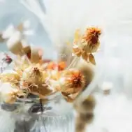 プロフィール画像1